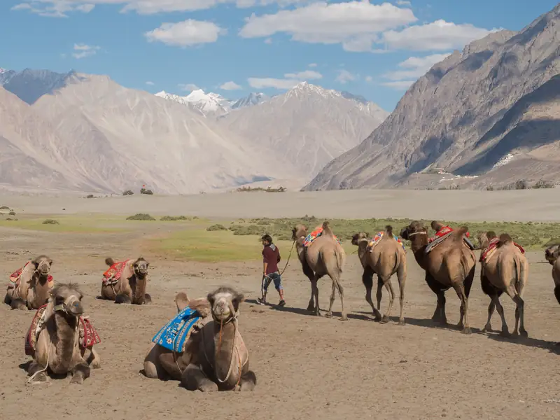 Ladakh Popular Tour 6N/7D